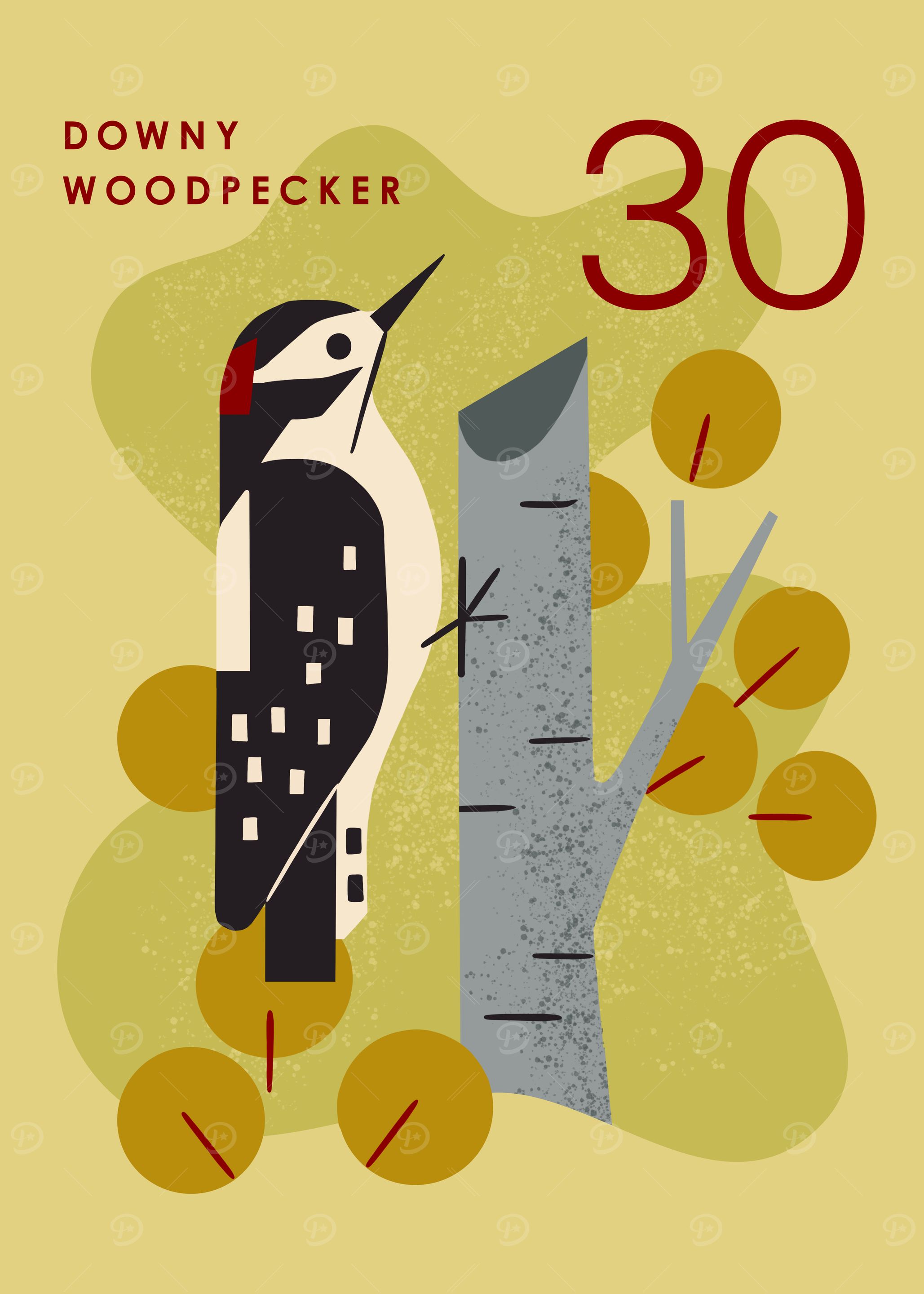 Aspen Downy Woodpecker