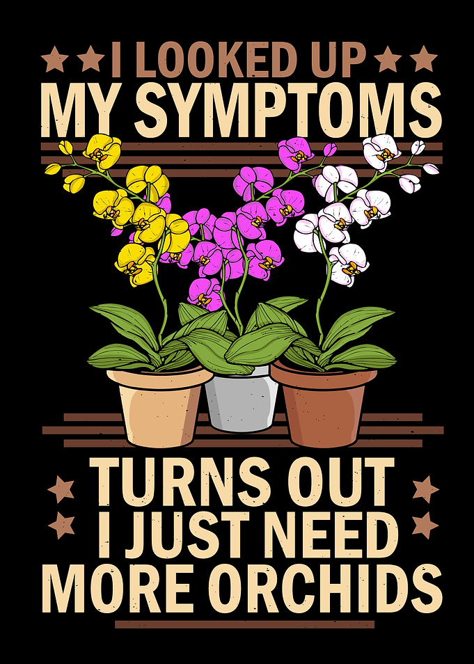 Orchid Flower Garden Plant