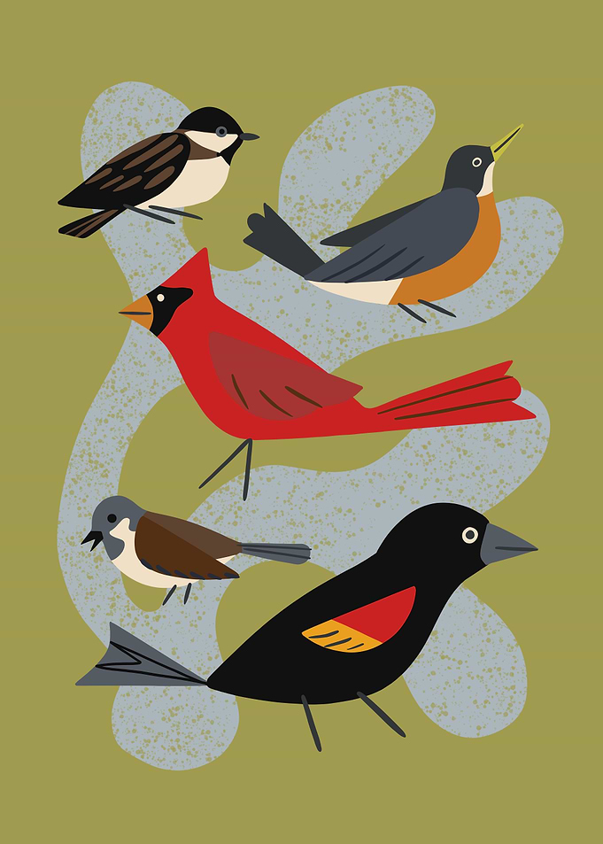 Five Birds