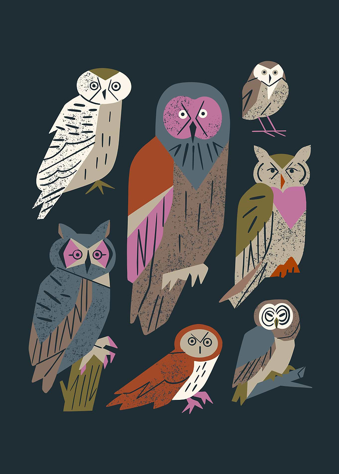 Owl Friends