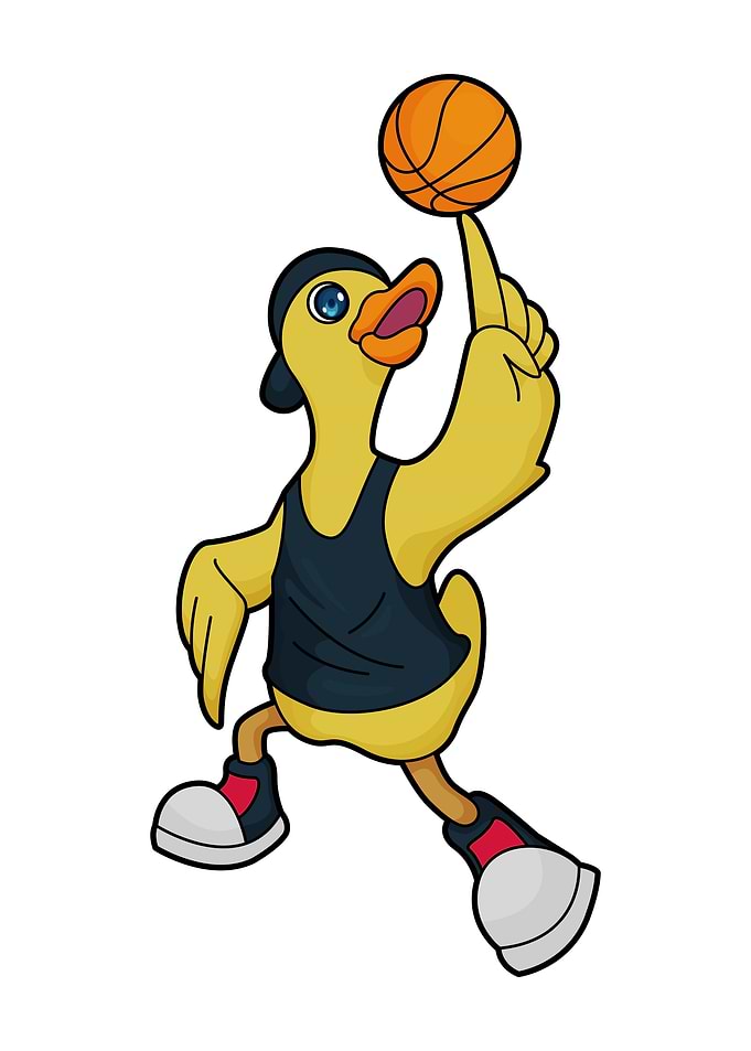 Duck Basketball Sports