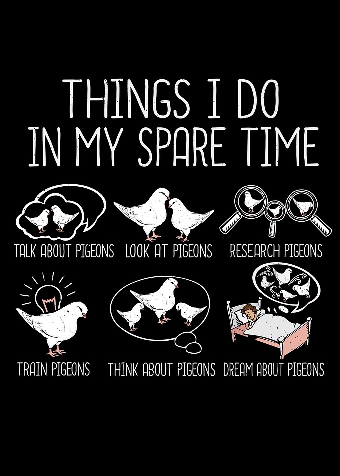 King Pigeon Breeding Gift
