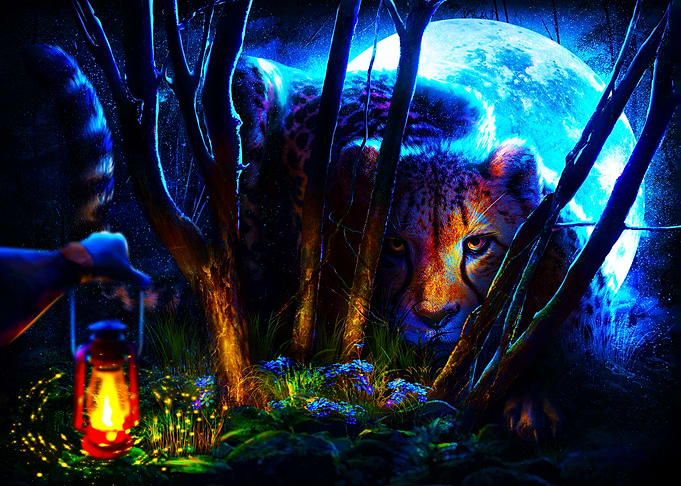 The Cheetah King