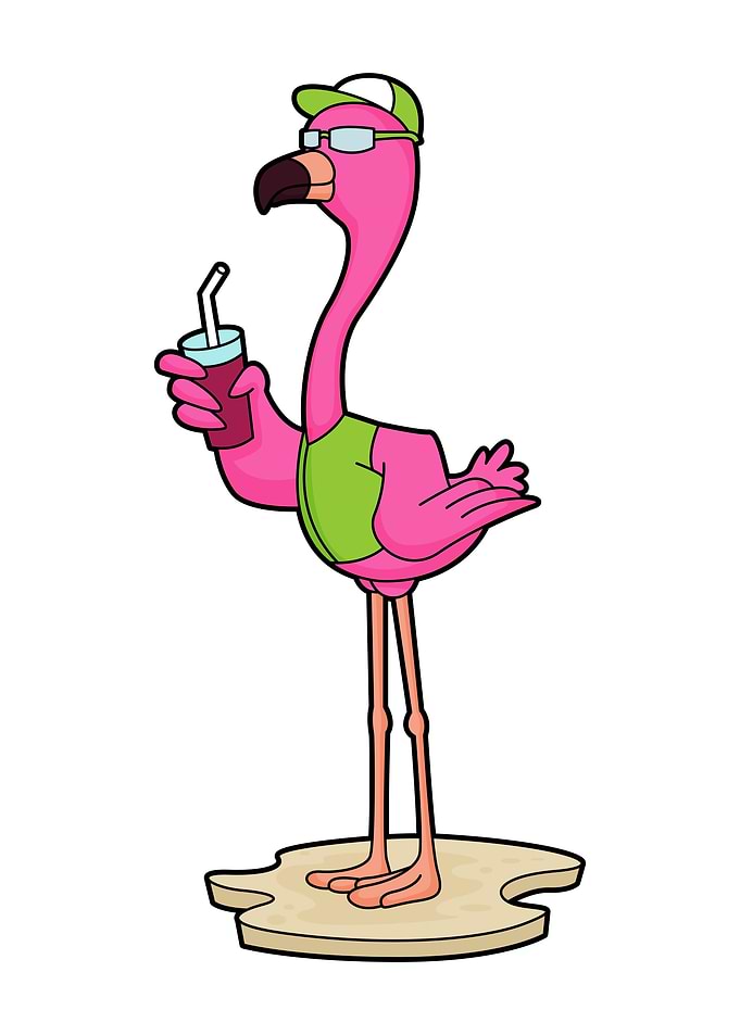Flamingo Sunglasses Juice