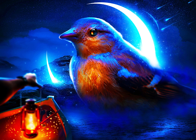 The Sparrow King