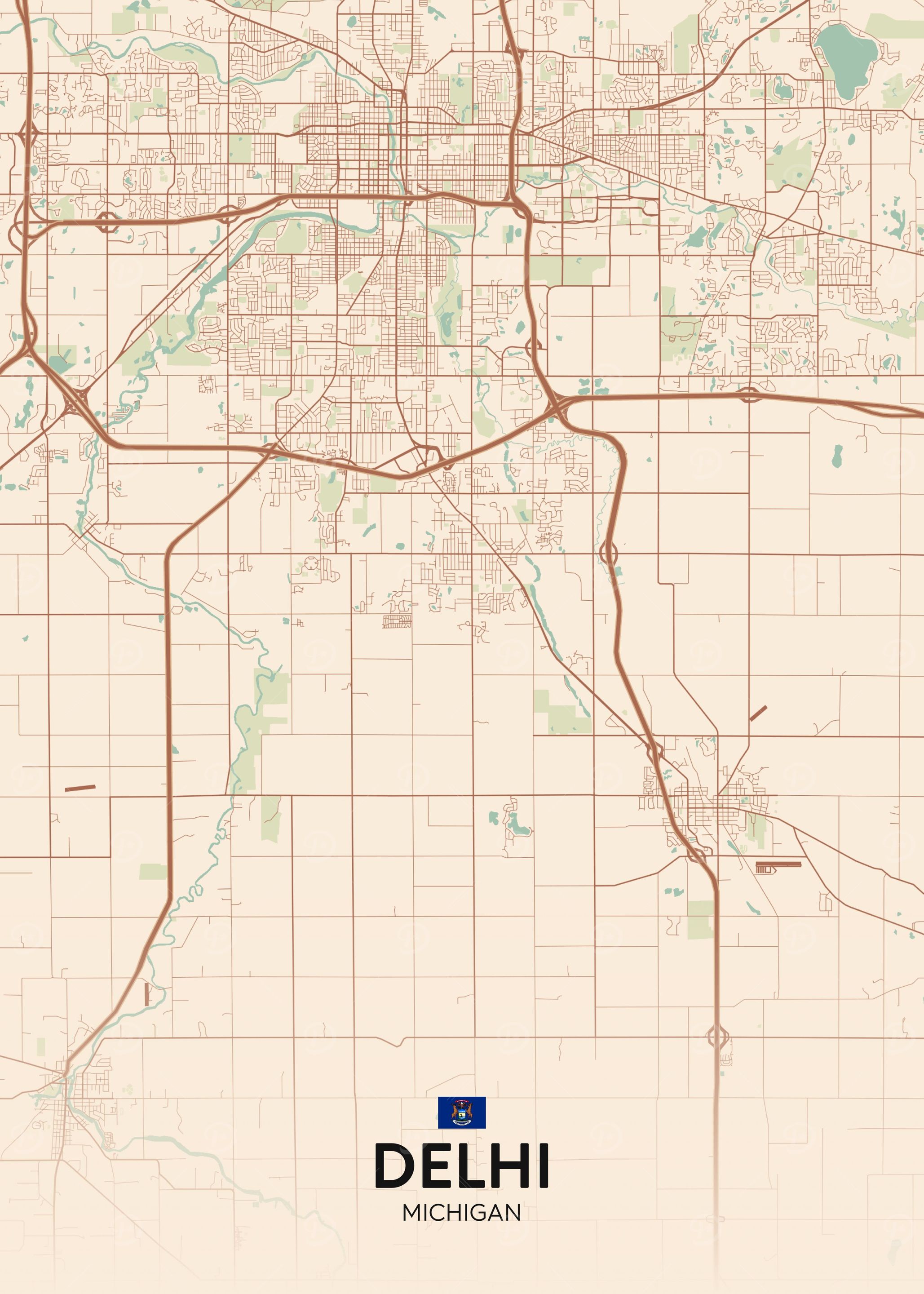 Delhi MI