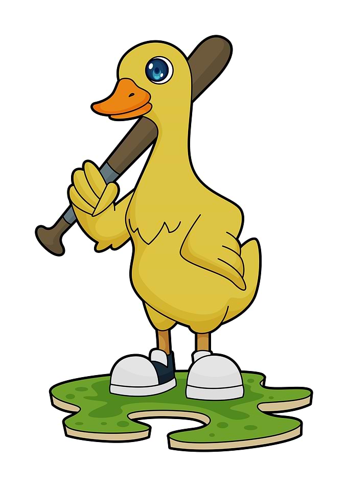 Duck Baseball Sports