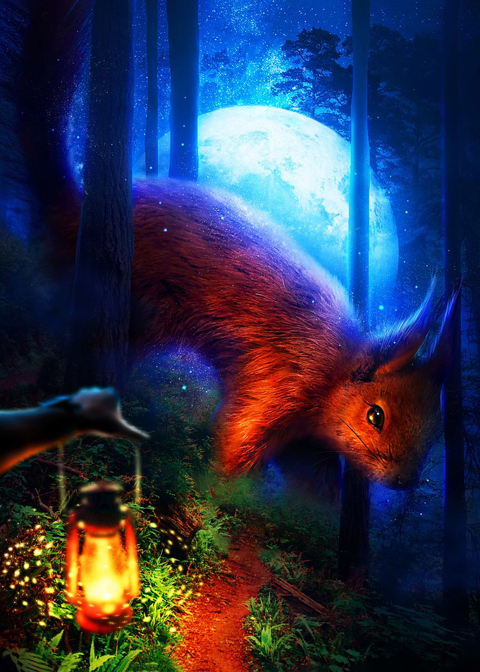 The Squirrel King