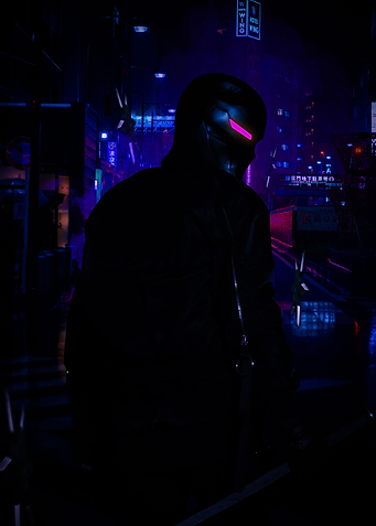 Ninja Poster