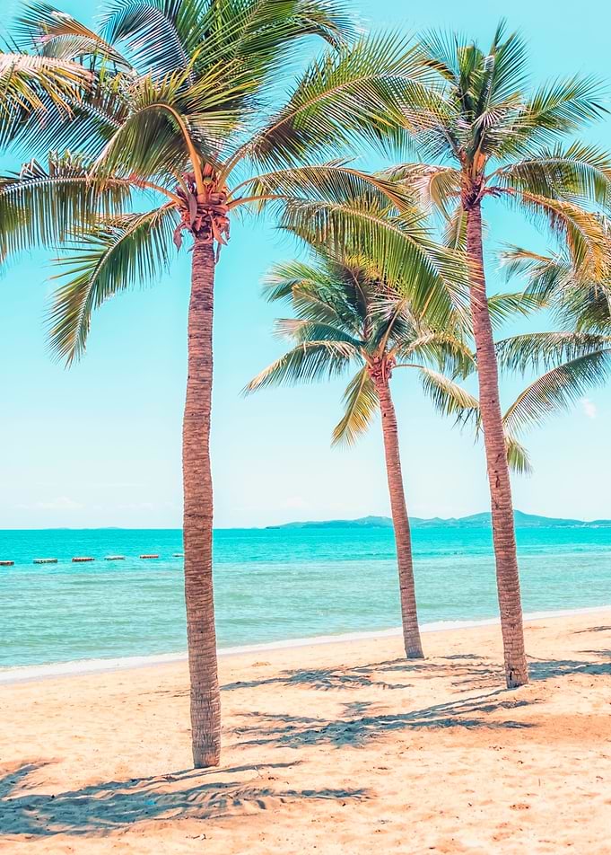Tropical Beach