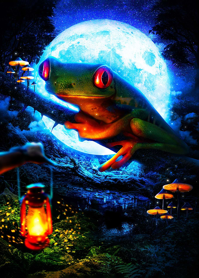 The Frog Queen