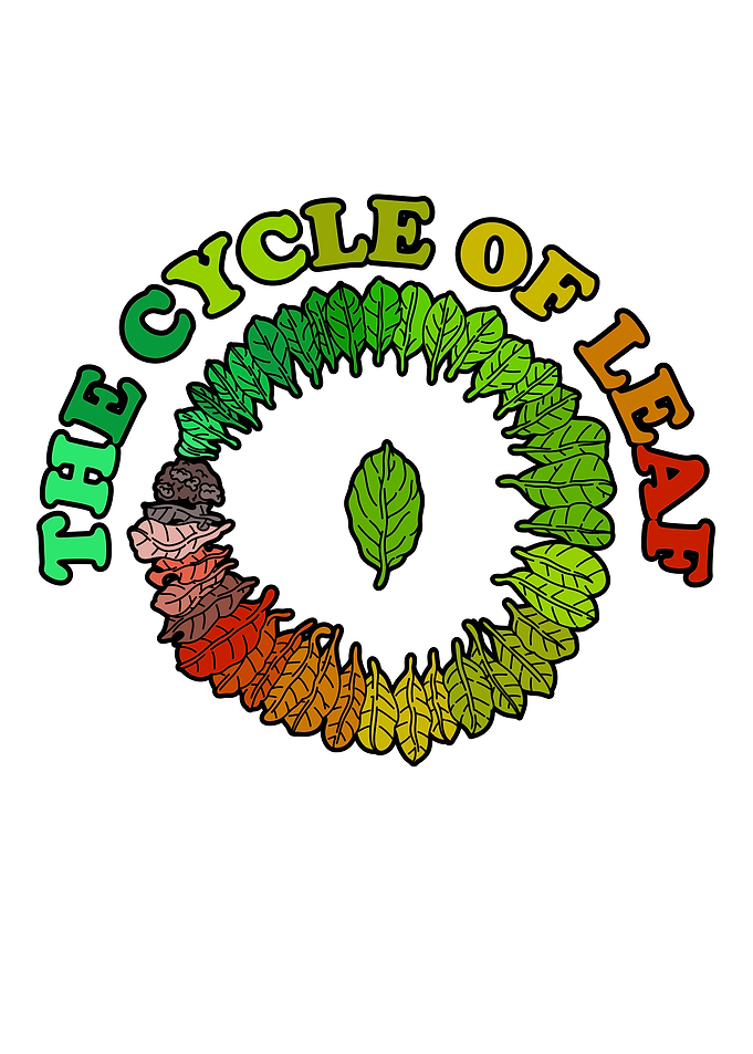 The Cycle of Leaf Colorful