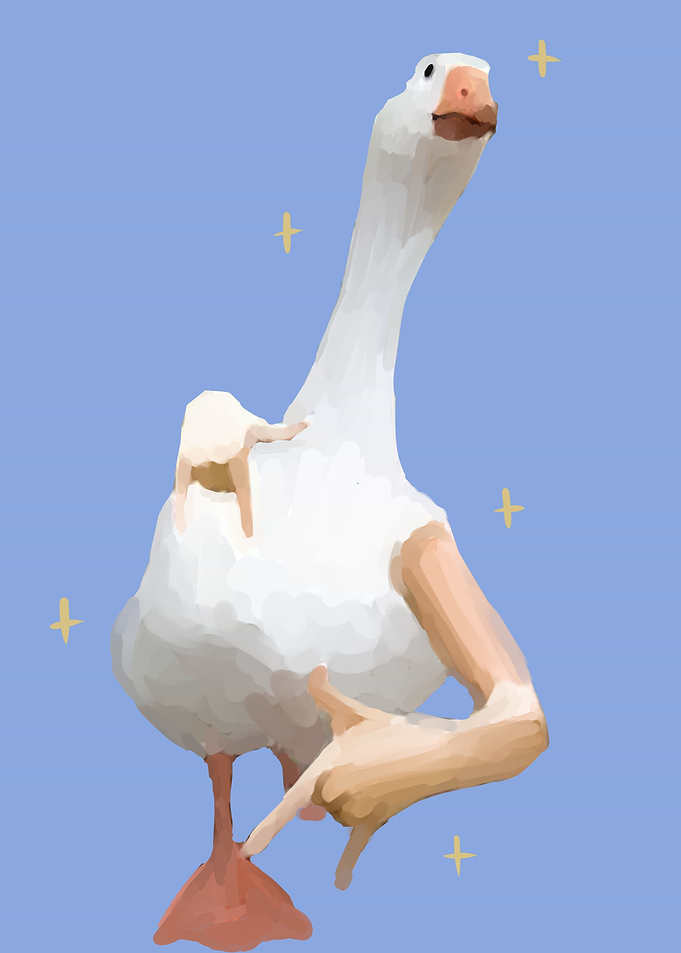 duck