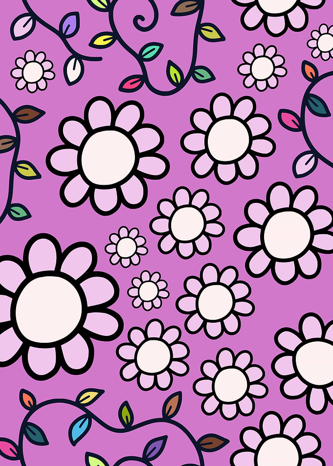 Fresh Pink Daisy Blossoms