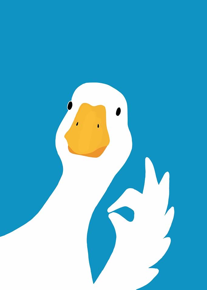 Goose Funny Meme