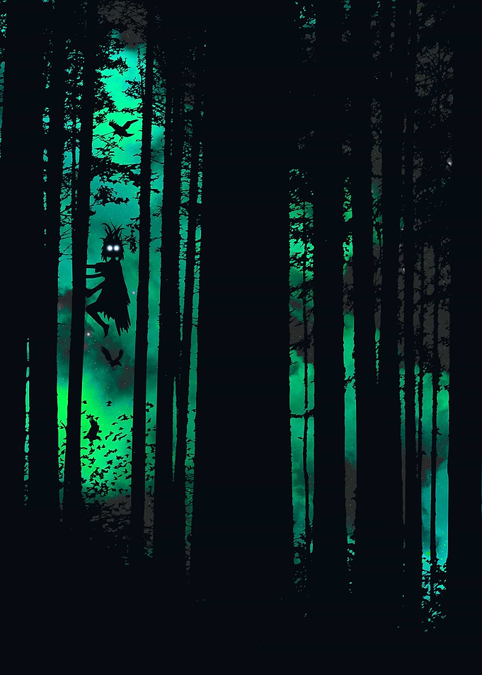 Little Forest Witch
