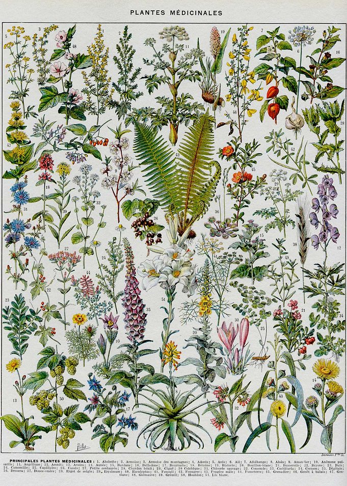 Floral Vintage