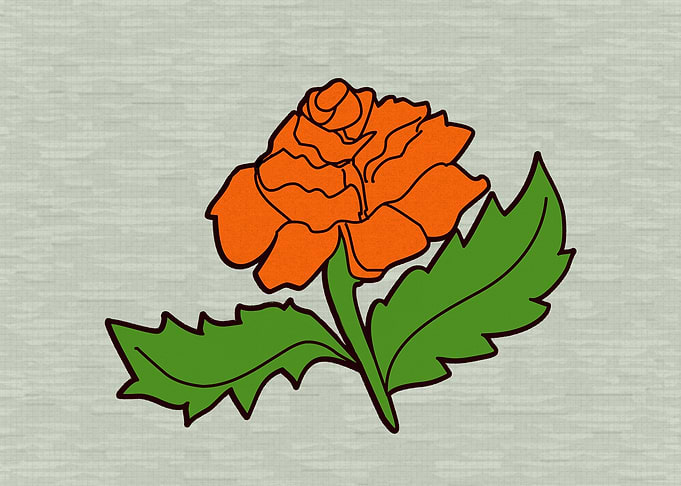Rose Flower1