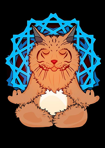 Maine Coon Yoga Meditation