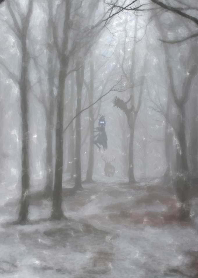 Little Forest Witch