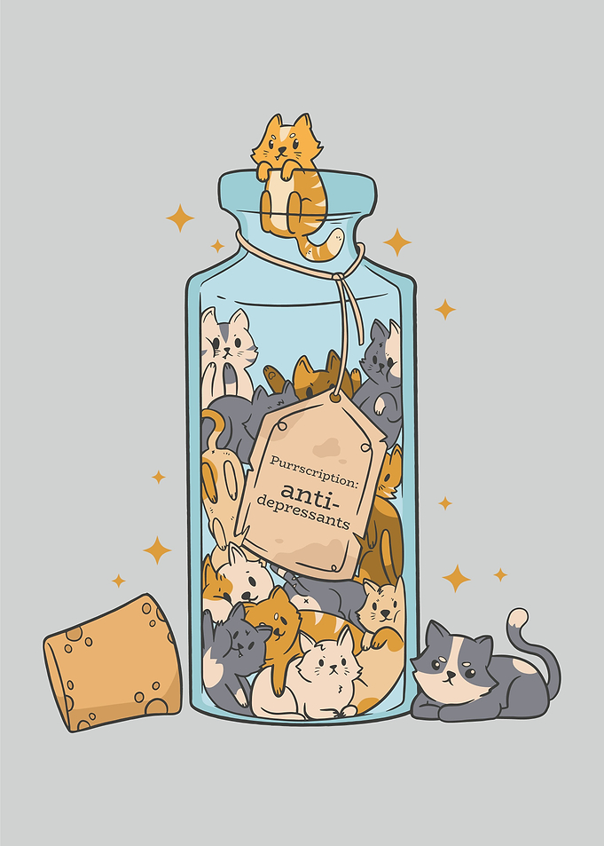 Anti depressants cats