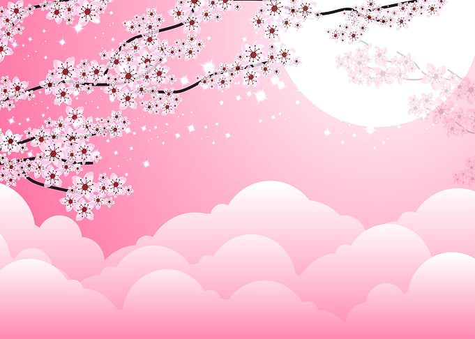 Japanese Sakura