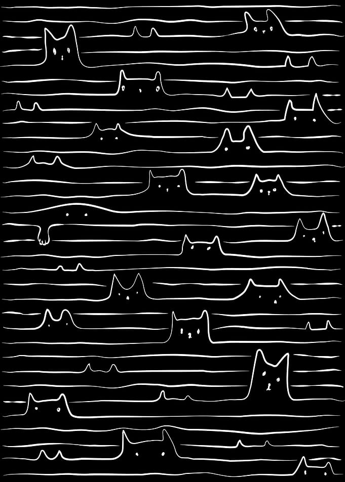 Signal wave cat