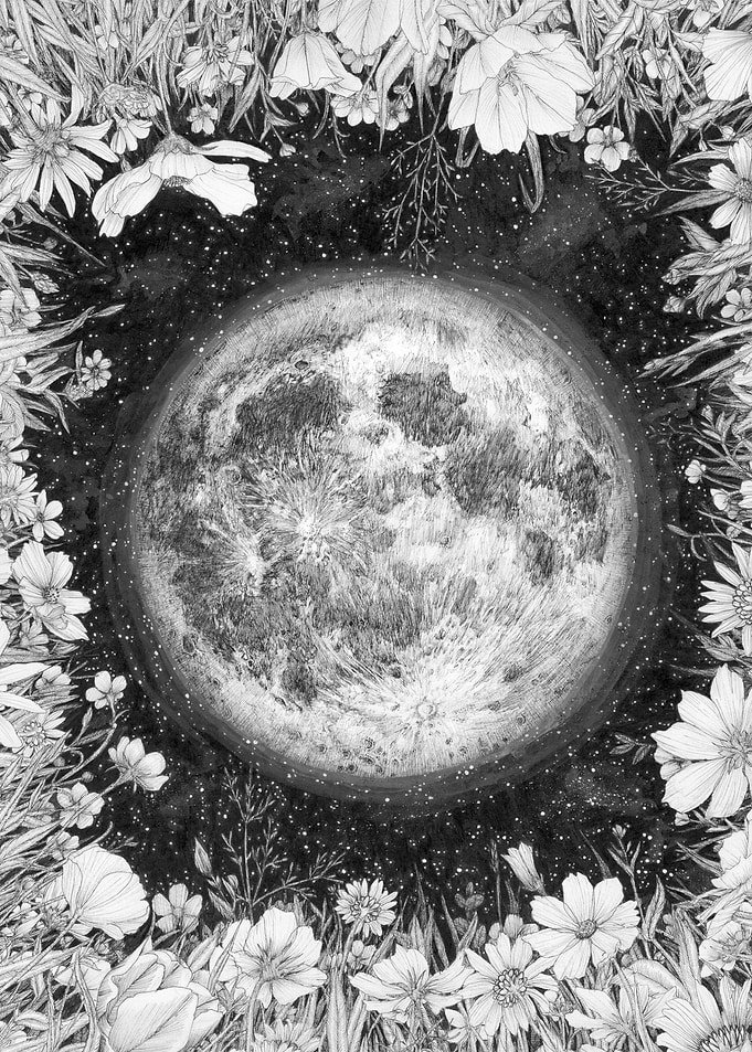 Midnight Moon in the Garde