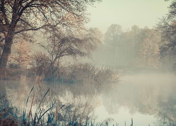Misty morning