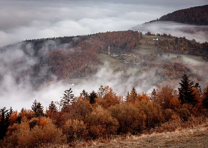 Misty morning