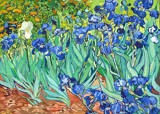 Irises