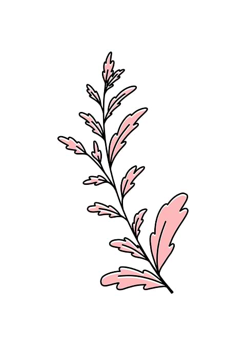 Leaf