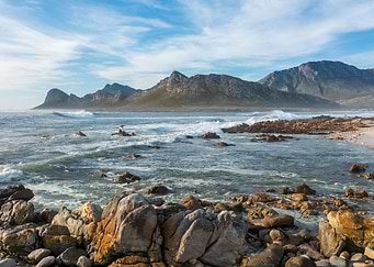 Pringle Bay South Africa
