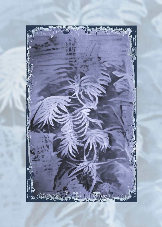 Abstract Strange Flowers