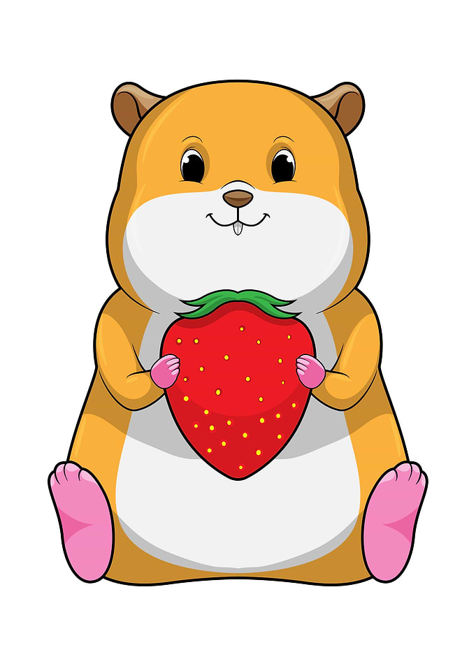 Hamster Strawberry