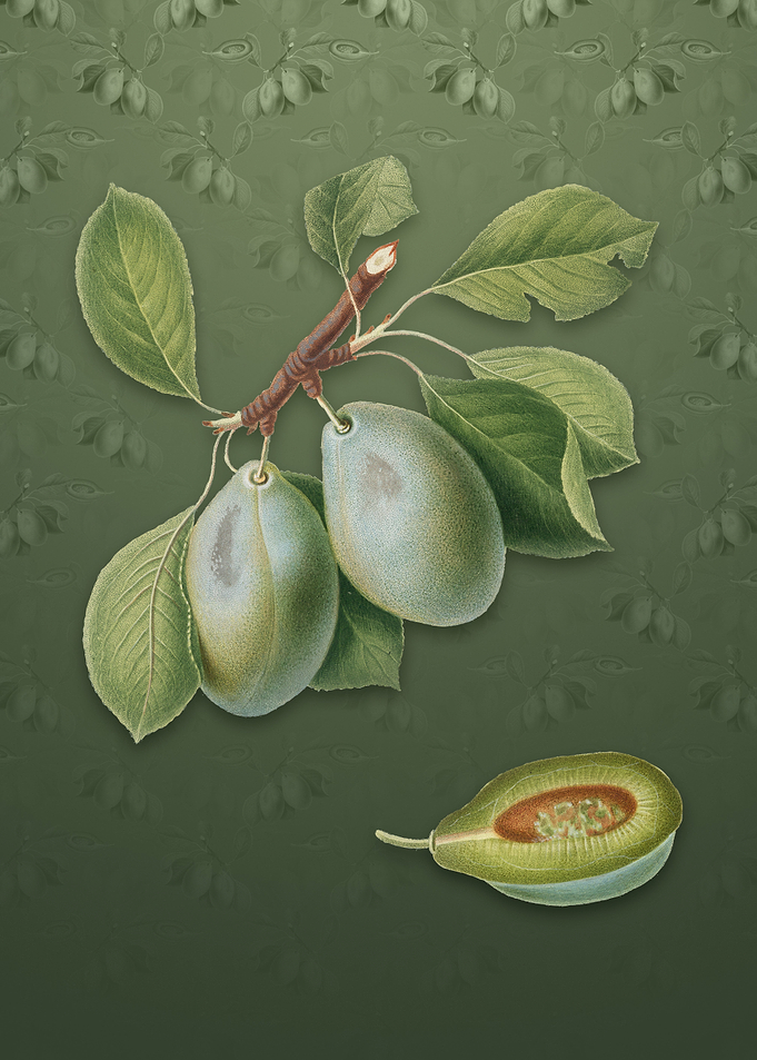Plum on Lunar Green