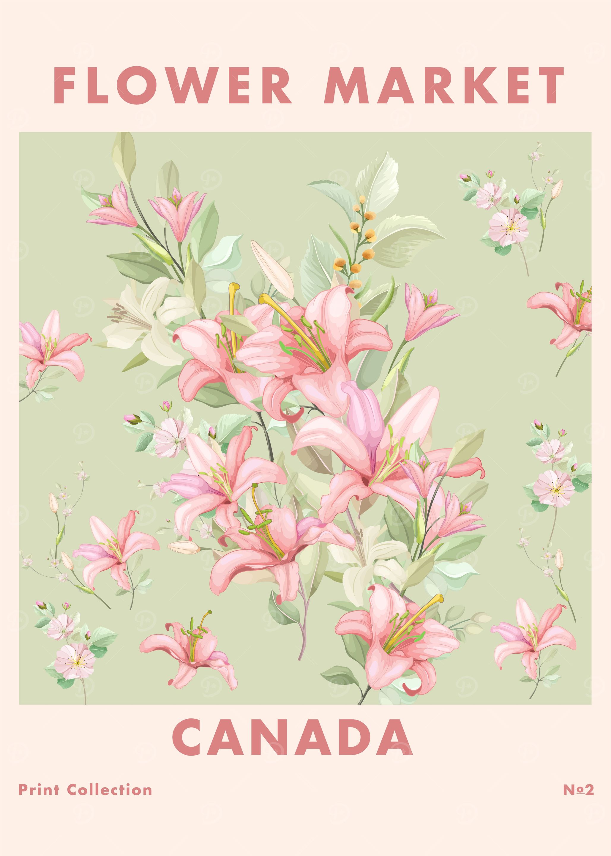 Flower Market Canada No 2