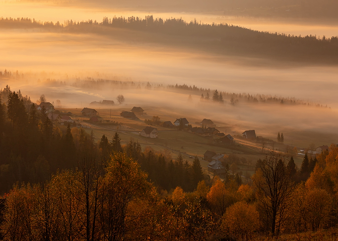 Foggy morning
