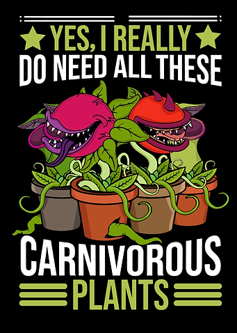 Fly Trap Carnivorous Plant