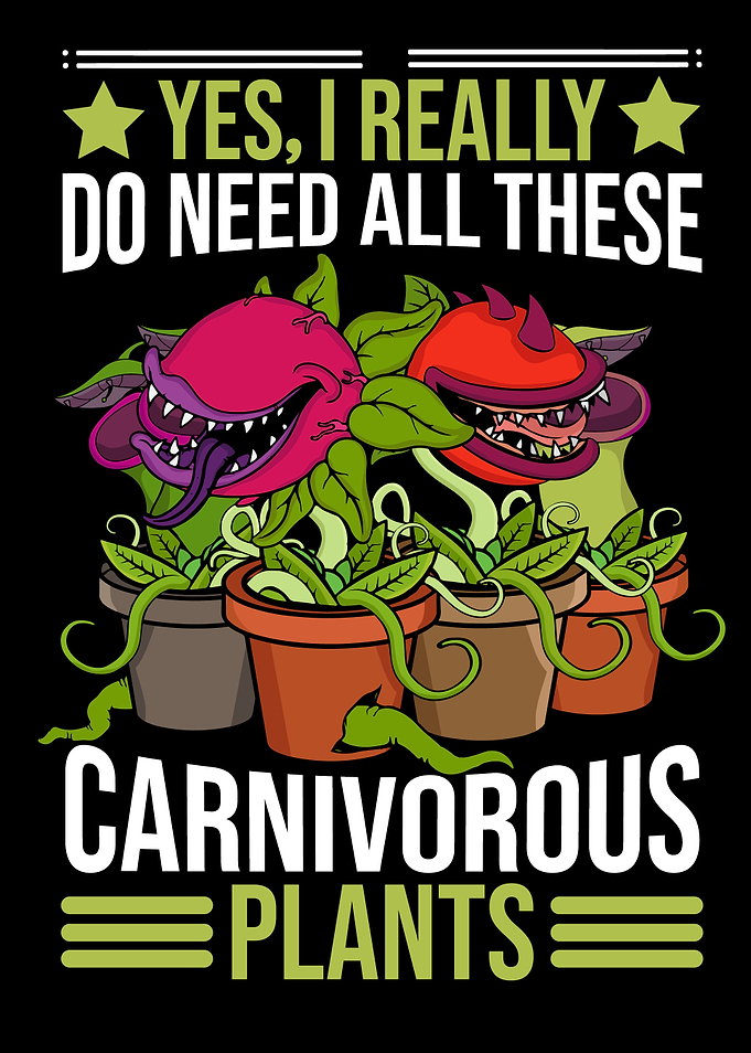 Fly Trap Carnivorous Plant