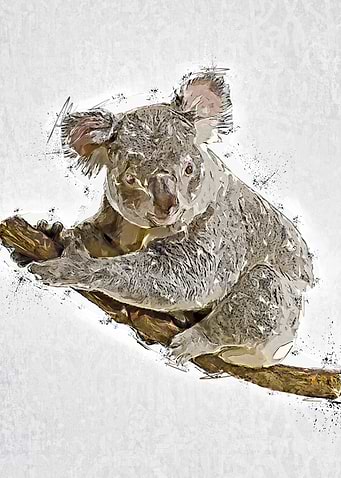 Animal Poster