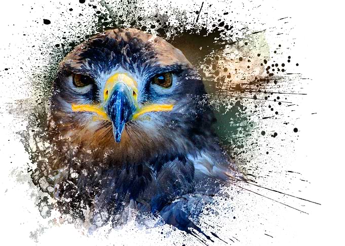 Falcon Art