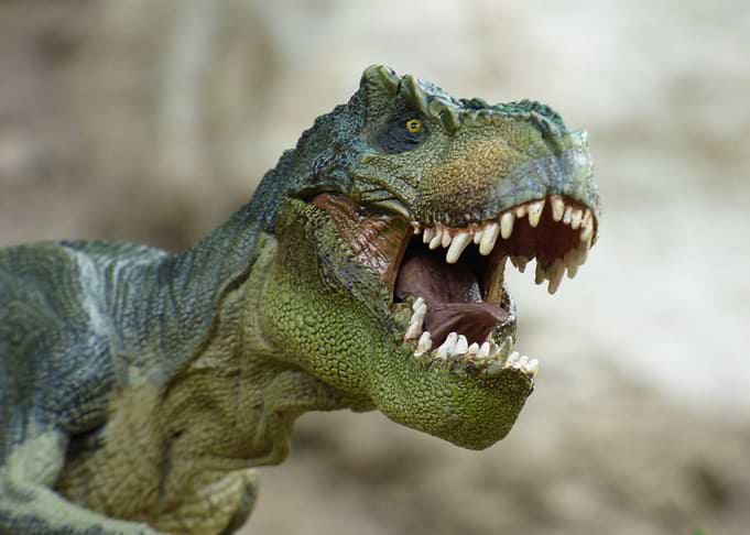 Dinosaur existence