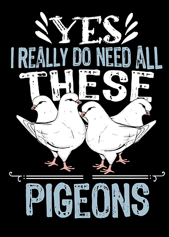 King Pigeon Breeding Gift