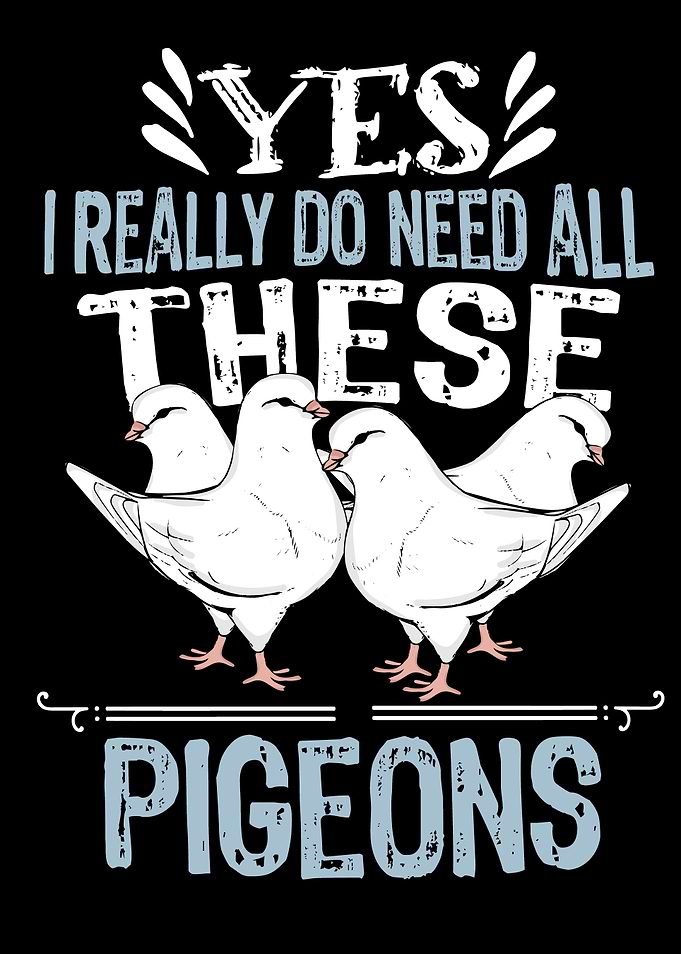 King Pigeon Breeding Gift