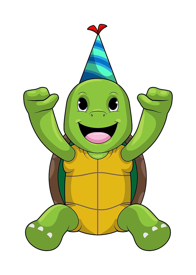 Turtle Birthday Party hat