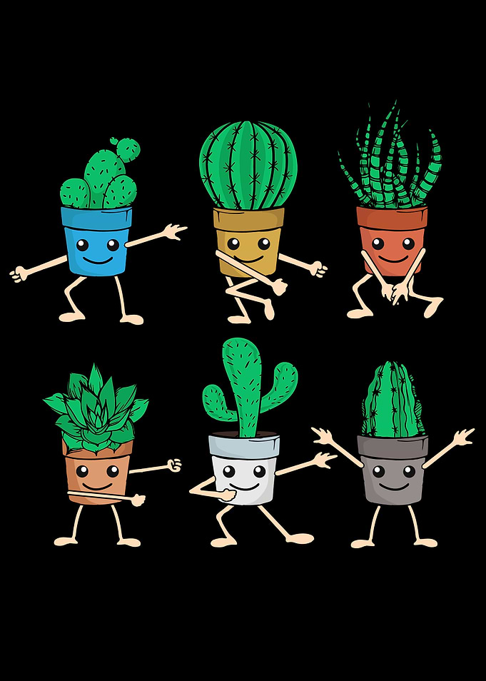Cute Cactus Gift Succulent
