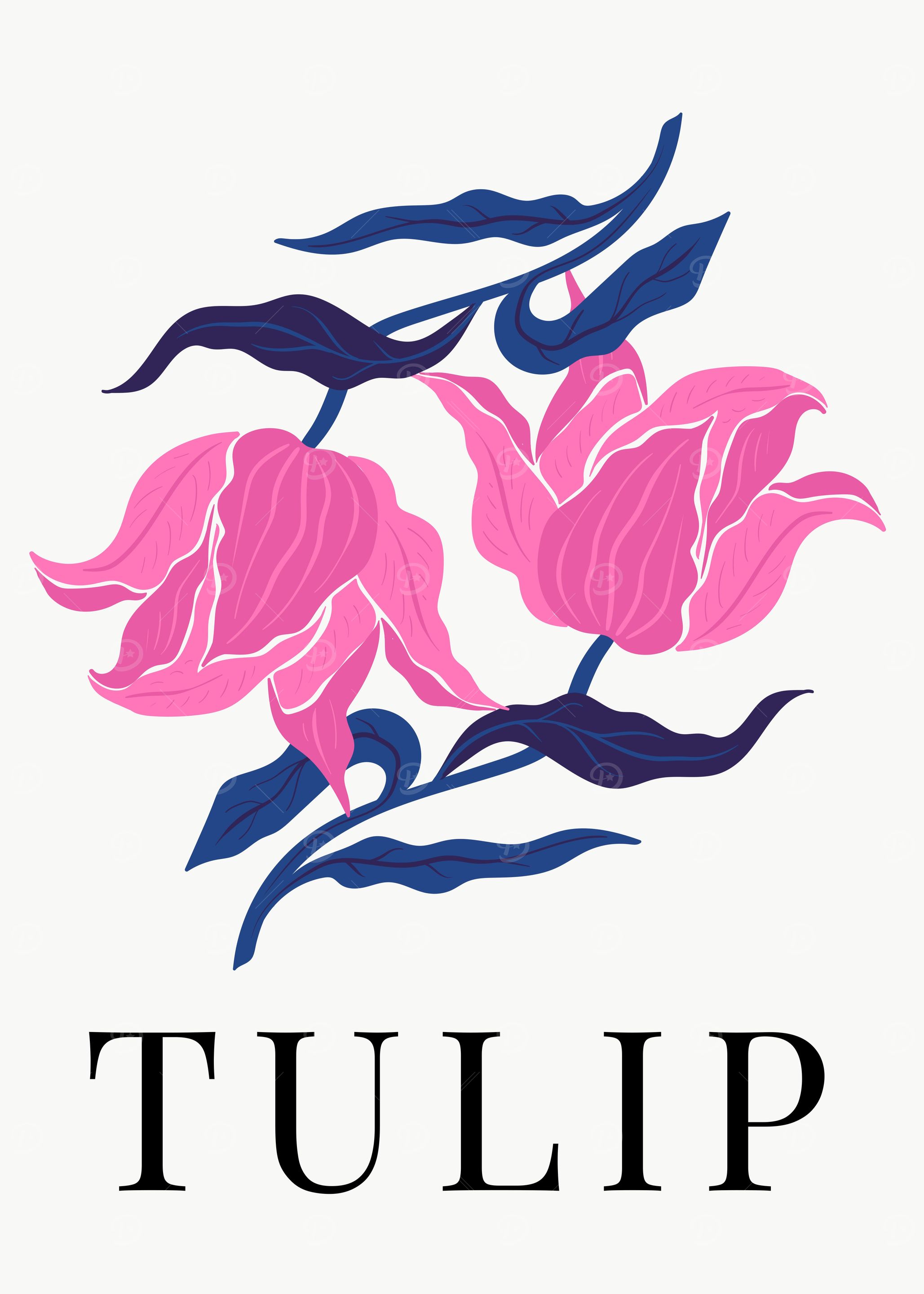 Abstract Pink Tulip Flower