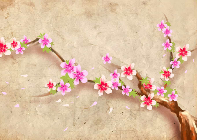 Japanese Sakura