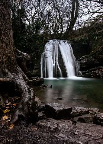 Janets Foss